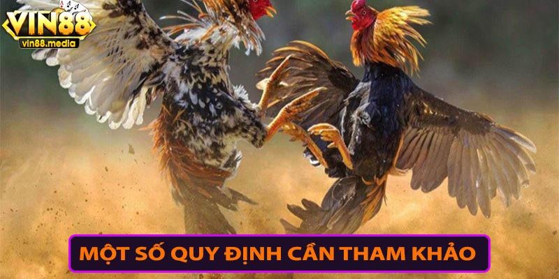 Các quy định về đá gà mà bạn cần tham khảo